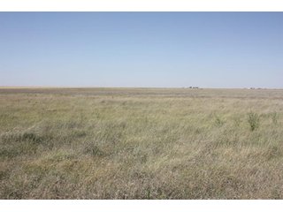Property photo 1 - 480 Acre Land Auction Offered in 3 Tracts